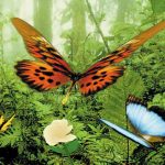 Virtual Lepidoptera