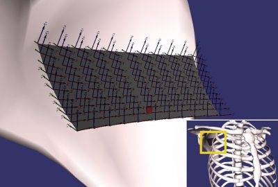2008 Technical Paper: Lee_Spline Joints for Multibody Dynamics