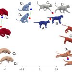 Map-based exploration of intrinsic shape differences and variability