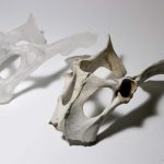 2018 Art Papers: Klein_Augmented Fauna and Glass Mutations: A Dialogue Between Material and Technique in Glassblowing and 3D Printing