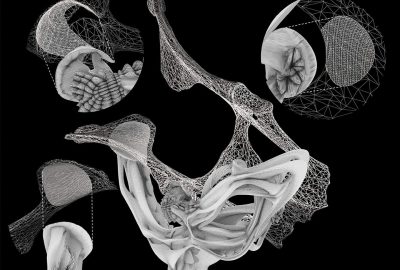 2018 Art Papers: Klein_Augmented Fauna and Glass Mutations: A Dialogue Between Material and Technique in Glassblowing and 3D Printing