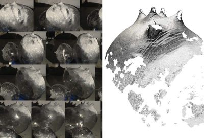 2018 Art Papers: Klein_Augmented Fauna and Glass Mutations: A Dialogue Between Material and Technique in Glassblowing and 3D Printing