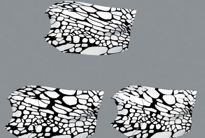 2002 Talks: Falco_Inverse Texture Warping