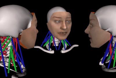 2006 Technical Paper: Lee_Heads Up! Biomechanical Modeling and Neuromuscular Control of the Neck