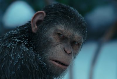 2024 Production Session: Winquist_Monkeys Chimps Gorillas Wētā-FXs-(r)Evolutionary Work with Primates