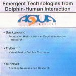 MindSet: Neurological Man/Machine Interfacing, An Emergent Technology From Human-Dolphin Interaction Research