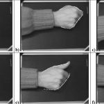 3D position, attitude and shape input using video tracking of hands and lips
