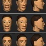 An anthropometric face model using variational techniques