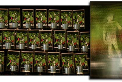 2004 Technical Paper: Levoy_Synthetic Aperture Confocal Imaging