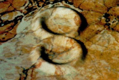 1990 Technical Paper: Coquillart_Extended Free-Form Deformation: A Sculpturing Tool for 3D Geometric Modeling