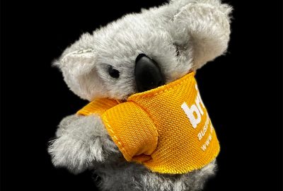 2019 Koala-brisbane-Front