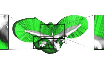 2021 Technical Paper: GARANZHA_Foldover-free maps in 50 lines of code