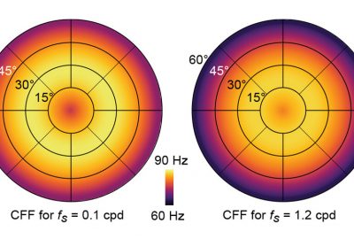 2021 Technical Paper: KRAJANCICH_A Perceptual Model for Eccentricity-dependent Spatio-temporal Flicker Fusion and its Applications to Foveated Graphics