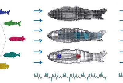 2021 Technical Paper: MA_DiffAqua: A Differentiable Computational Design Pipeline for Soft Underwater Swimmers with Shape Interpolation