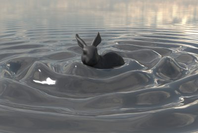 2021 Technical Paper: NABIZADEH_Kelvin Transformations for Simulations on Infinite Domains