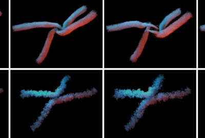 2021 Technical Paper: XIONG_Incompressible Flow Simulation on Vortex Segment Clouds