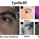 EyeNeRF: a hybrid representation for photorealistic synthesis, animation and relighting of human eyes