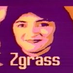 Real Time Design ZGRASS Demo