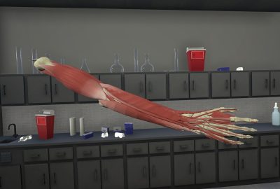 2022 Education Forums: O’Brien_VRm: A Virtual Reality Tool for Anatomical Study