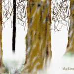 Mackenzie Wahl: I Saw a Tree