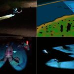 Development of 3D Projection Mapping From a Moving Vehicle to Observe From Inside and Outside of the Vehicle