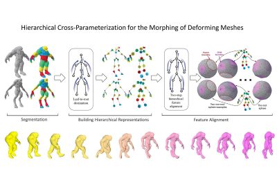 2022 Posters: Cao_Hierarchical Cross-parameterization for the Morphing of Deforming Meshes