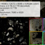Compression and Interactive Visualization of Terabyte Scale Volumetric RGBA Data With Voxel-scale Details