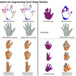 Local Scale Adaptation for Augmenting Hand Shape Models