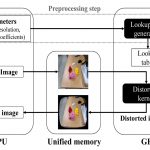 Real-time Lens Distortion Algorithm on Embedded GPU Systems