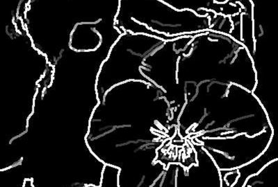 2007 Posters: Orzan Multi scale shape manipulations in photographs