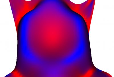 2007 Posters: Solomon Fast and Accurate Estimation of Principal Curvatures and Directions for Morphable Models