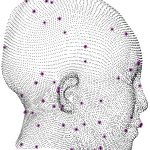 Principal components analysis of 3-D scanned human heads