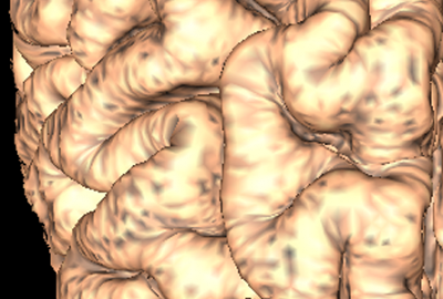 2011 Poster Bowman Visual Navigation and Classification of Datasets in Feature Similarity Space 03