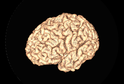 2011 Poster Bowman Visual Navigation and Classification of Datasets in Feature Similarity Space 07