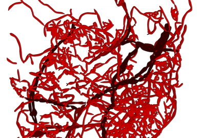 2011 Poster Cruz Visualizing the Circulatory Problems of Lisbon 04