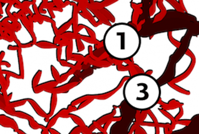 2011 Poster Cruz Visualizing the Circulatory Problems of Lisbon 06