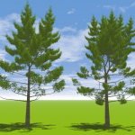 Functional tree models reacting to the environment