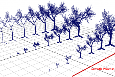 2012 Posters Kim LiveTree Realistic tree growth simulation tool 0
