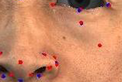 2012 Posters Lin De aging High Resolution 3D Facial Models by Example Driven Mesh Deformation 03