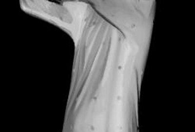 2011 Poster Taneda 3D Reconstruction of Detail Change on Dynamic Non Rigid Objects 04