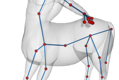 2011 Poster Yu An Efficient PILP Algorithm for 3D Region Guarding and Star Decomposition 03