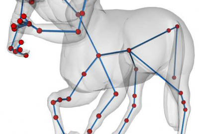 2011 Poster Yu An Efficient PILP Algorithm for 3D Region Guarding and Star Decomposition 04