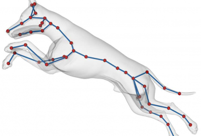 2011 Poster Yu An Efficient PILP Algorithm for 3D Region Guarding and Star Decomposition 07