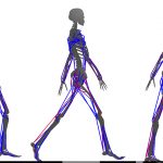 Learning Human-like Locomotion Based on Biological Actuation and Rewards