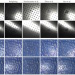 Single Image Neural Material Relighting