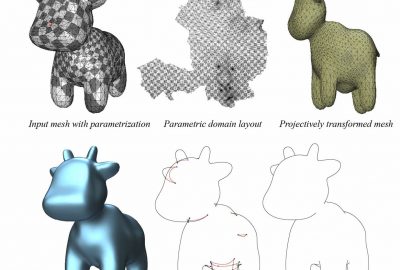 2023 Technical Papers: Capouellez_Algebraic Smooth Occluding Contours