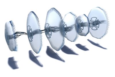 2023 Technical Papers: Gross_Motion from Shape Change