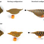 Differentiable Stripe Patterns for Inverse Design of Structured Surfaces