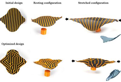 2023 Technical Papers: Maestre_Differentiable Stripe Patterns for Inverse Design of Structured Surfaces