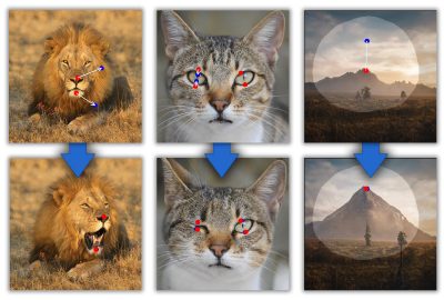 2023 Technical Papers: Pan_Drag Your GAN: Interactive Point-based Manipulation on the Generative Image Manifold